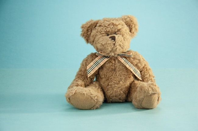 Teddy Day Wishes